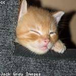 Colten Purdy Profile Picture