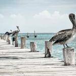 Mya Stanton Profile Picture