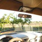 Name Nitzsche Profile Picture