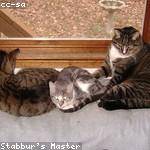 Maggie Mitchell Profile Picture