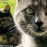 Jalon Rau Profile Picture