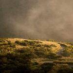 Jesse Dickens Profile Picture