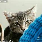 Dean Considine Profile Picture