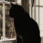 Vincenzo Hoppe Profile Picture