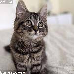 Nelle Wyman Profile Picture