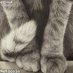 Fae Rutherford Profile Picture