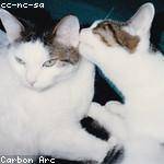 Arthur Collier Profile Picture