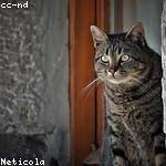 Imani Kris Profile Picture