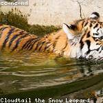 Sabryna Harber Profile Picture