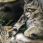 Magdalen Stoltenberg Profile Picture