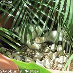 Barry Halvorson Profile Picture