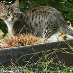 Ima Schuster Profile Picture