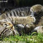 Kristy Fritsch Profile Picture