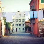 Ashtyn Goyette Profile Picture