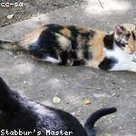 Madge Jakubowski Profile Picture