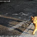 Floyd Conn Profile Picture