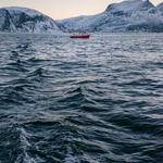 Einar Ferry Profile Picture