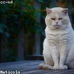 Jess Lebsack Profile Picture