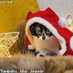 Alex Erdman Profile Picture