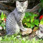 Jack Pacocha Profile Picture