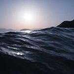 Elmo Johns Profile Picture