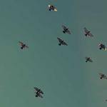 Clara Hintz Profile Picture