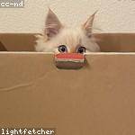 Zechariah Prohaska Profile Picture