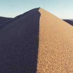 Vern Orn Profile Picture