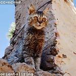 Marcelle Casper Profile Picture