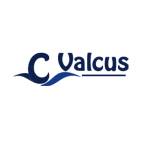 Valcus India Pvt Ltd Profile Picture
