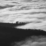 Emerson Herzog Profile Picture