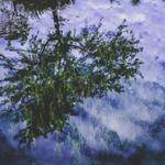 Hildegard Price Profile Picture