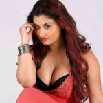 Supriyagupta Profile Picture