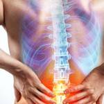 GreenCbd Gummies Profile Picture