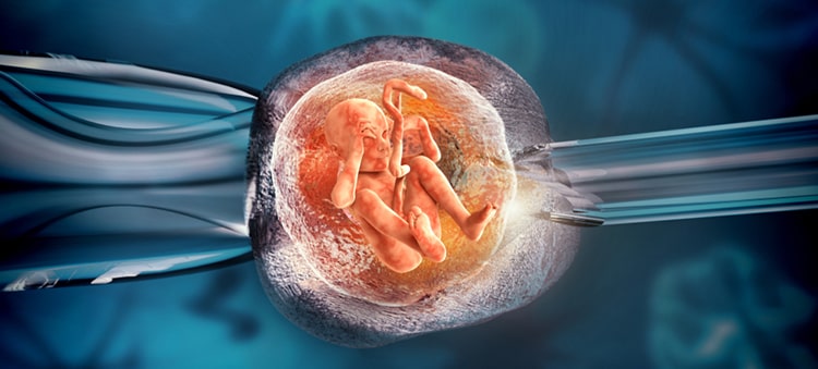 IVF in the City of Dreams: Mumbai's Top Treatment Centers