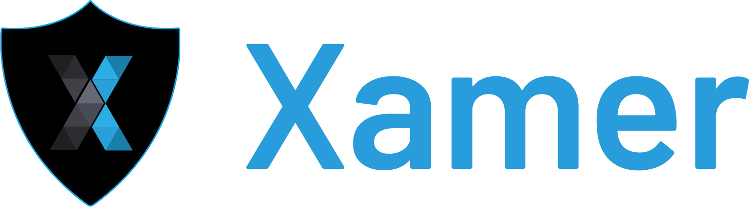Secure Your Ethereum Smart Contracts with Xamer Auditing
