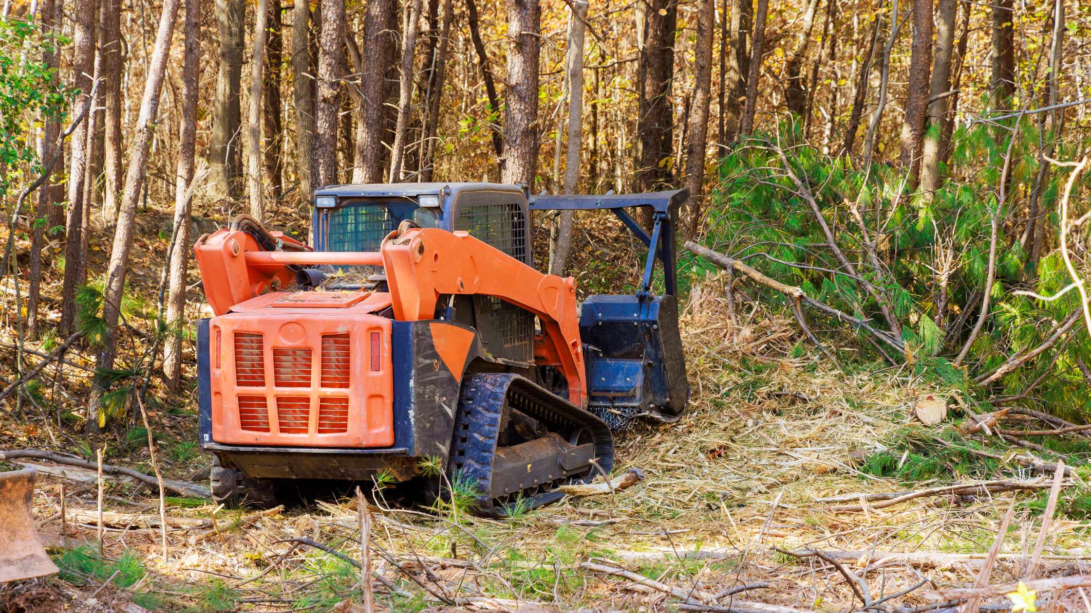 Why Forest Mulching Is The Best Eco-Friendly Land Clearing Solution - Read News Blog