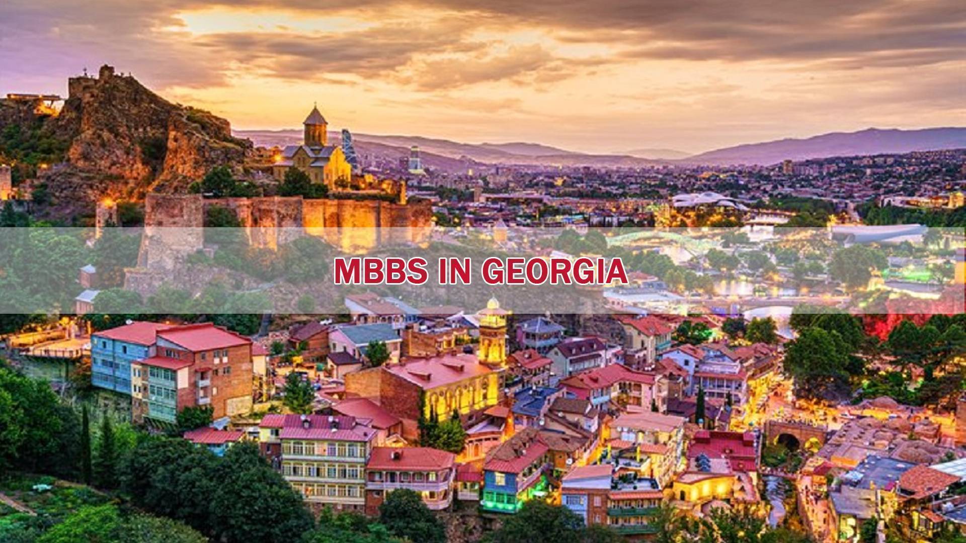 MBBS in Georgia for Indian students in 2023 - Fees structure, top medical universities.