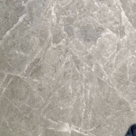 Sp5der Clothing Profile Picture