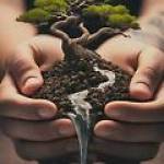 sizemore services Profile Picture