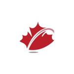 Mds Consulting Profile Picture