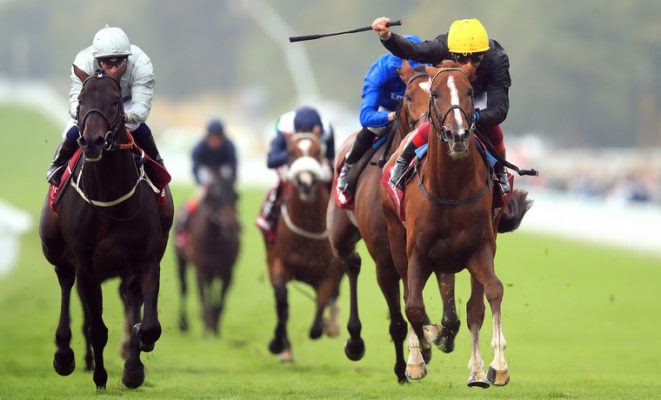 What Makes A Good Horse Racing Tipster?