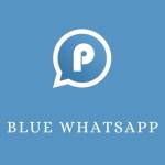 blue whatsapp Profile Picture