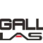 The Gallant Profile Picture