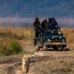 Jim Corbett Profile Picture