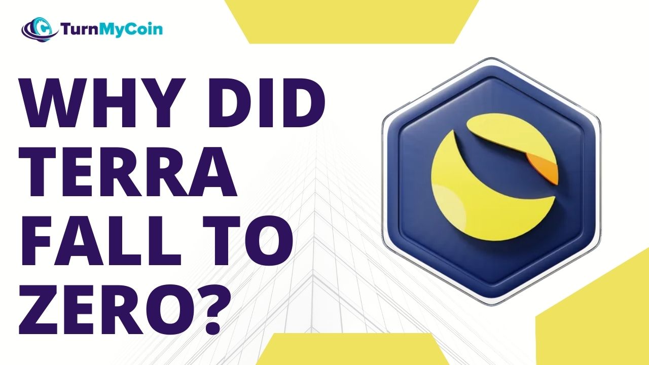 Why Did Terra Fall To Zero? Terra Scam-All That You Need To Know