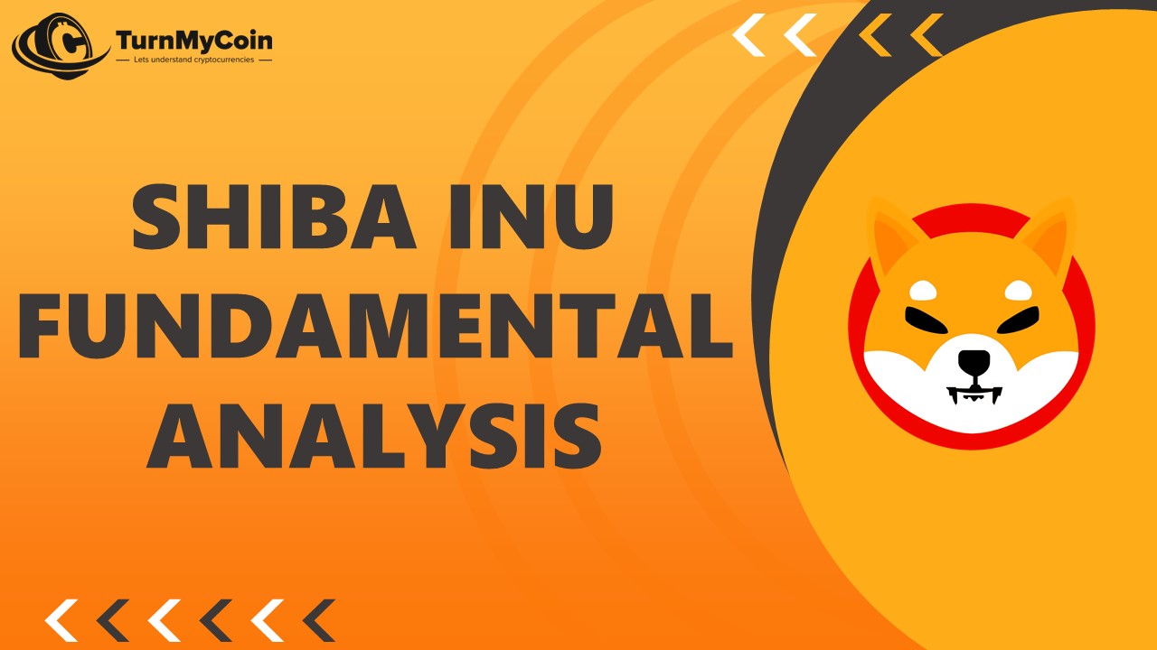 A complete Shiba Inu Analysis. Why do investors love it?[2023] - TurnMyCoin: Crypto assets trading Worldwide - A beginner's guide