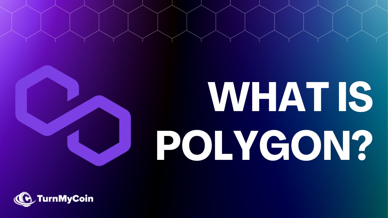 11 Unique Facts About Polygon Blockchain - What Makes It Different