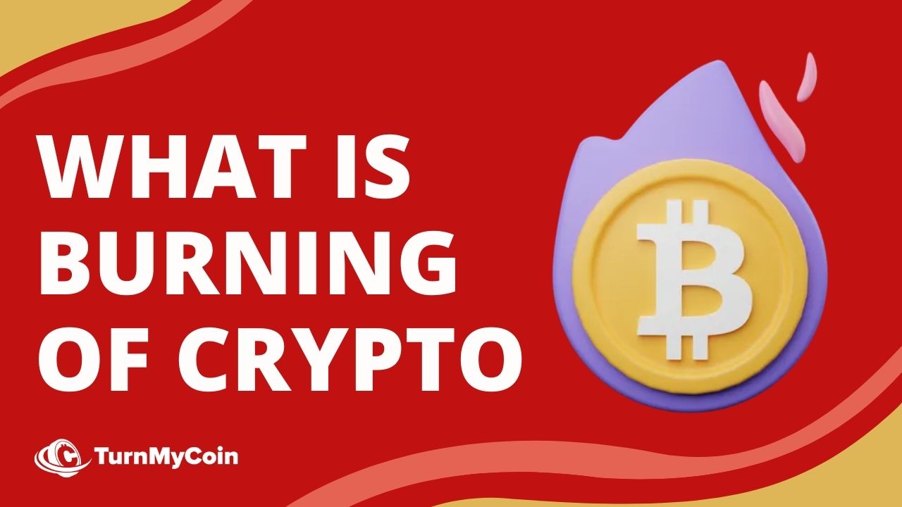 What Is Burning Crypto? 5 Genuine Reasons For Burning Cryptos
