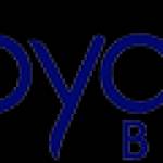 Royal Bear Profile Picture